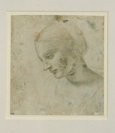 Study of a Female Head in Approximate Profile by Leonardo da Vinci